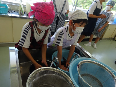 紫蘇葉塩もみ