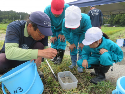 生き物観察１