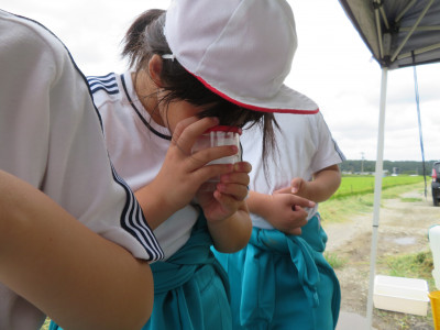 生き物観察２