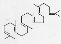 これすてろーるのもと