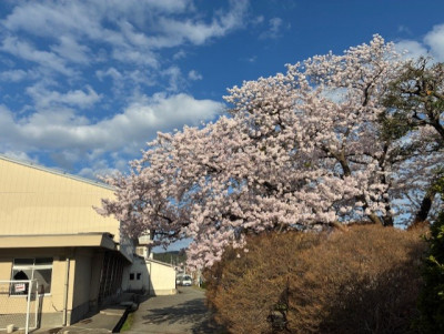 7aa831ae-786d-436e-912d-8b37a956d4a6