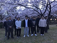 花見