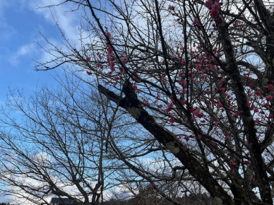 image2 - 2026-03-05T082624.405