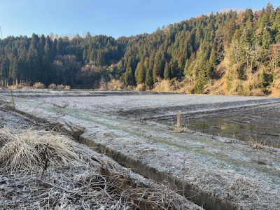 image0 - 2026-03-18T075711.723