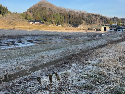 image1 - 2026-03-18T075715.003