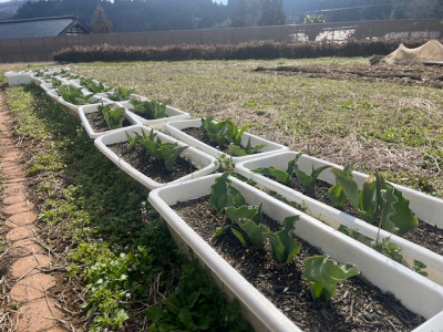 image0 - 2026-03-27T113518.263