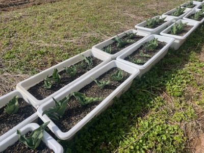 image1 - 2026-03-27T113520.317