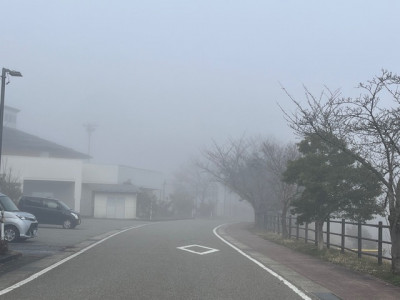 image3 - 2026-03-27T113525.673