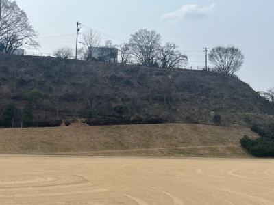 image3 - 2026-03-30T134719.127