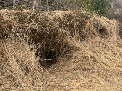 image1 - 2026-03-30T134723.579