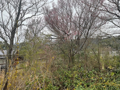 image0 - 2026-04-01T132242.399