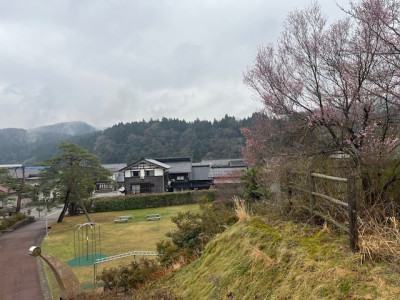 image1 - 2026-04-01T132244.981