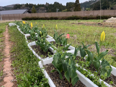 image3 - 2026-04-08T092731.994