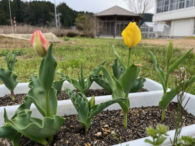 image2 - 2026-04-08T092733.150