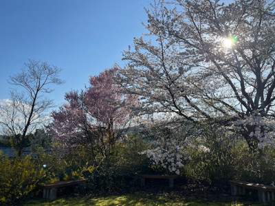 image1 - 2026-04-08T093102.793