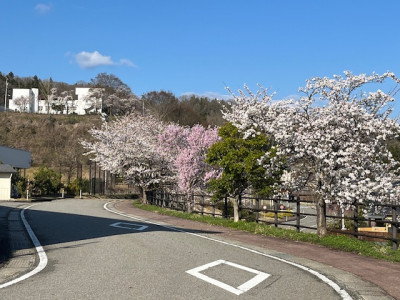 image0 - 2026-04-08T093105.063