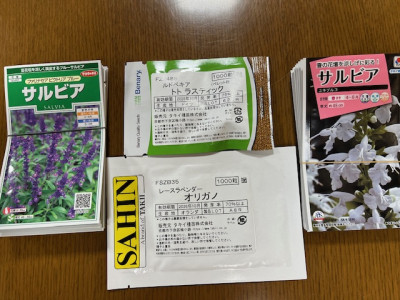 image0 - 2026-04-11T131929.645