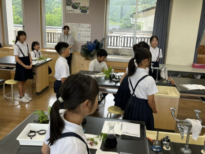 image0 - 2026-06-22T110054.775