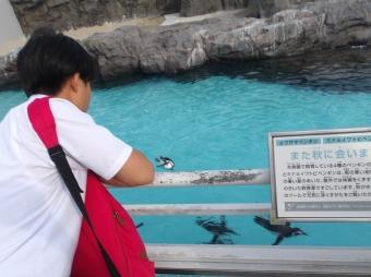 自主プラン上野動物園