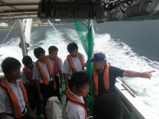 小学生調べ学習